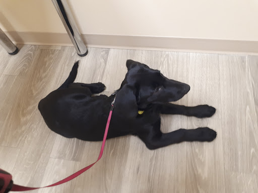 Battlefords Animal Hospital image