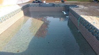 Oasis Inground Pools - Photo 8 - Car repair in , Springfield