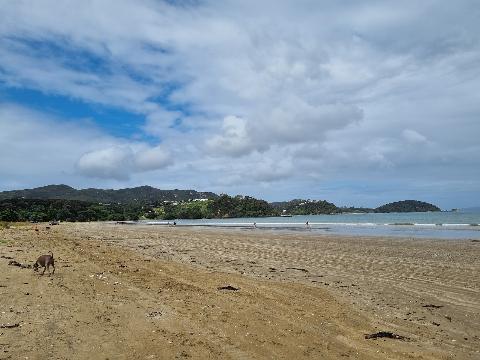 Tokerau beach'in fotoğrafı - rahatlamayı sevenler arasında popüler bir yer