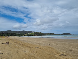 Tokerau beach'in fotoğrafı - rahatlamayı sevenler arasında popüler bir yer