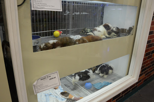 Pet Store «Most Valuable Pets», reviews and photos, 921 Beaumont Centre Pkwy #100, Lexington, KY 40513, USA
