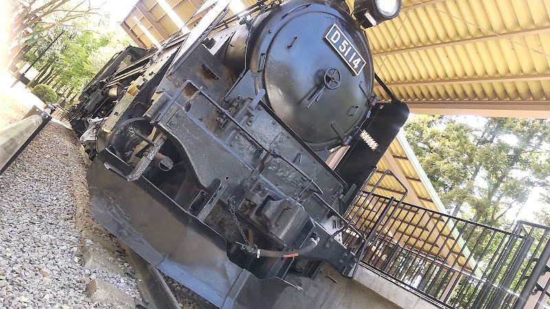 蒸気機関車 D51 14 号機・流山鉄道 キハ31