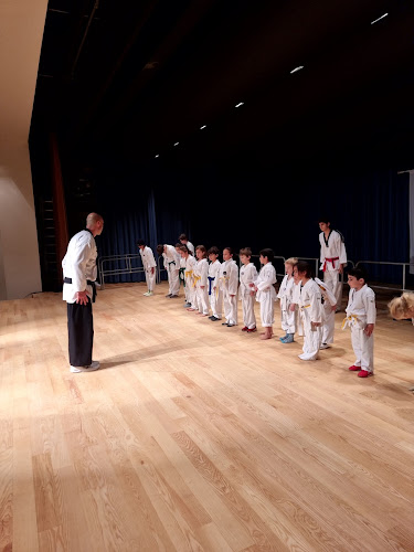 Taekwondo-Schule Kim Schweiz - Fitnessstudio