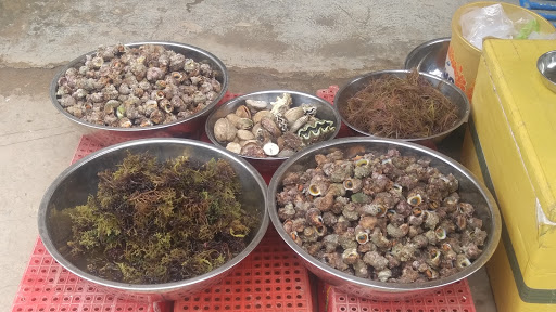 Top 20 cửa hàng akemi Huyện Lý Sơn Quảng Ngãi 2022