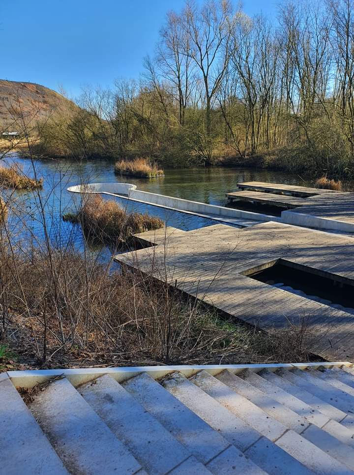 Photo n° 6 de l'avis de DELBARRE.R fait le 28/02/2022 à 15:53