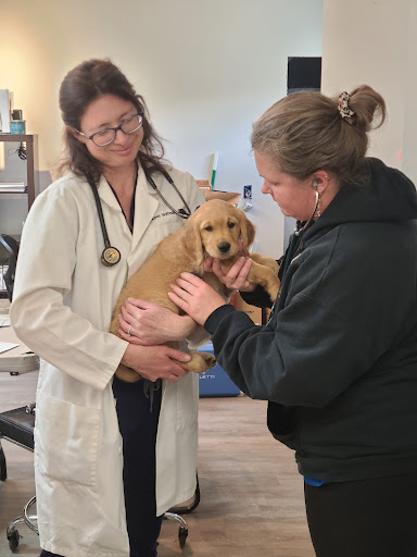 Bend Veterinary Clinic image