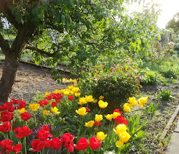 Kleingärtnerverein \