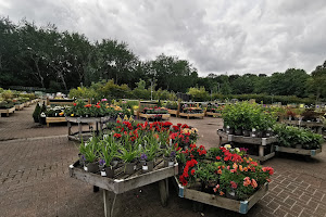 Dobbies Garden Centre Gosforth