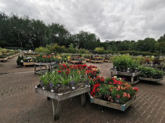 Dobbies Garden Centre Gosforth