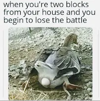 S.W. Alarms LLC - Car repair in , Brockton - Rated 5.0/5