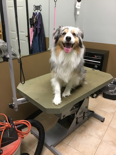 Pet Boarding Service «All About Pets», reviews and photos, 130 Arrow Rd #102, Hilton Head Island, SC 29928, USA