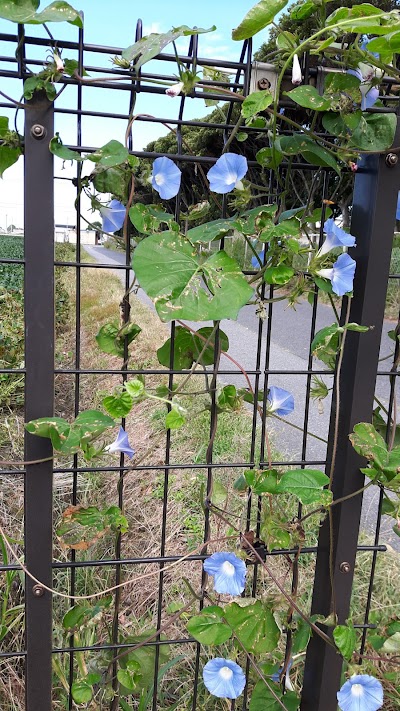 花の木苑