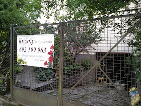Kwiaty u Agnieszki
