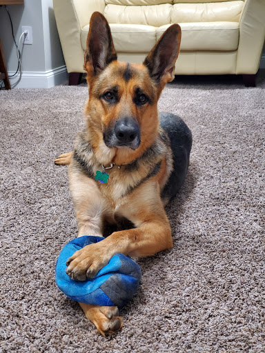 500 N Cassady Ave, Columbus, OH 43209, USA