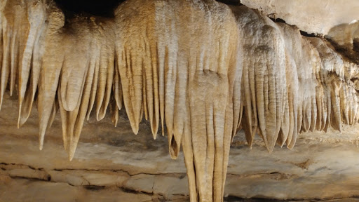 Tourist Attraction «Marengo Cave U.S. National Landmark», reviews and photos, 400 East State Rd 64, Marengo, IN 47140, USA
