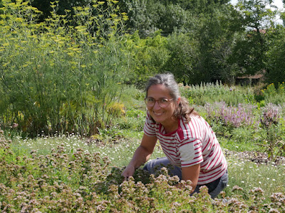 Herborescence à Saint-Lumine-de-Clisson