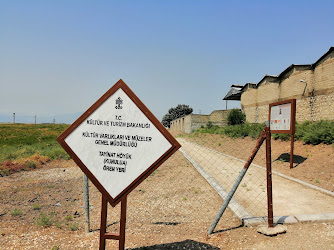 Tell Tayinat Höyüğü