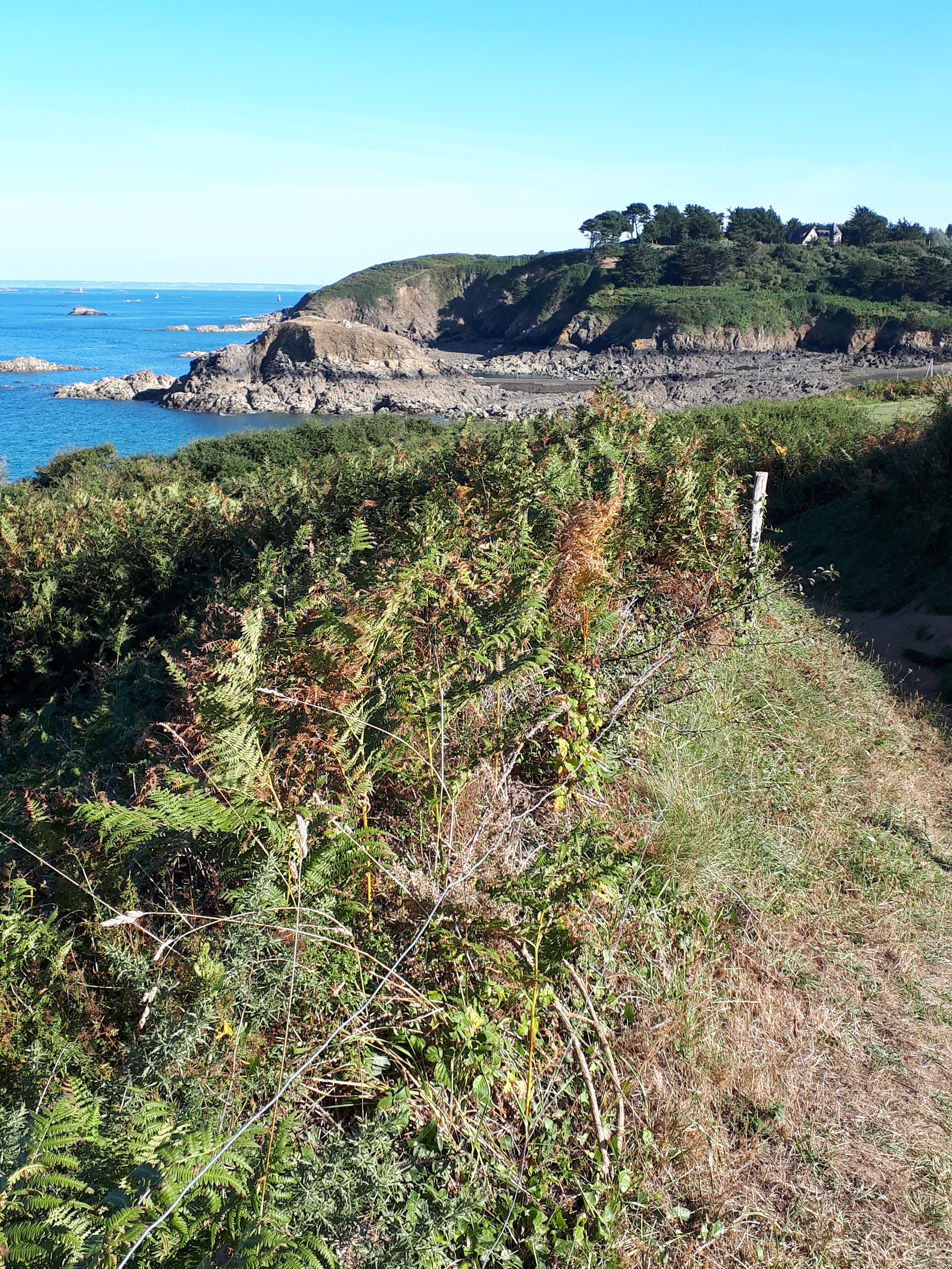 Photo n° 2 de l'avis de Jeanne.a fait le 06/09/2018 à 06:23