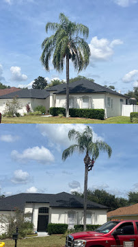A1M Power Wash & Lawn Care - Photo 7 - Car repair in , Tampa