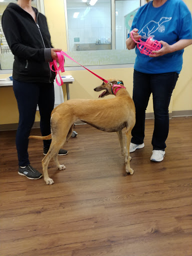 Pet Supply Store «PetPeople», reviews and photos, 3330 Washtenaw Ave, Ann Arbor, MI 48104, USA