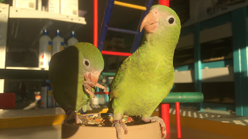 Pet Store «Pet Zone», reviews and photos, 1620 Marion-Mt Gilead Rd, Marion, OH 43302, USA