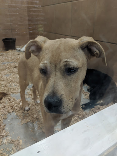 Pet Store «Pets Plus - Lansdale», reviews and photos, 555 S Broad St, Lansdale, PA 19446, USA