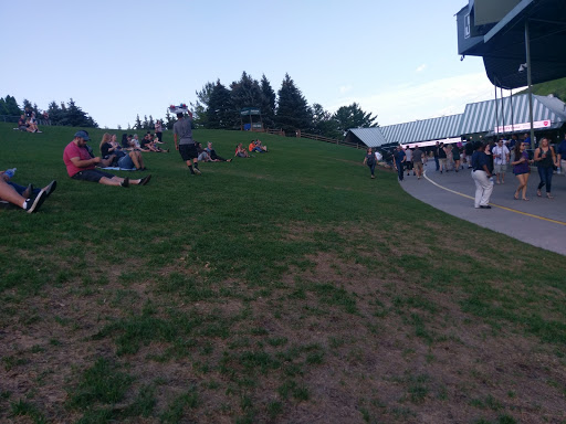 Live Music Venue «DTE Energy Music Theatre», reviews and photos, 7774 Sashabaw Rd, Village of Clarkston, MI 48348, USA