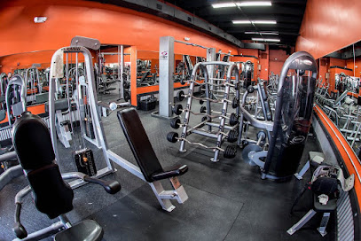 POMPEii GYM - 11093 NW 138th St #113, Hialeah Gardens, FL 33018