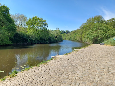 Base nautique La Haie Fouassière à La Haie-Fouassière