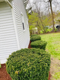 Andis plowing & landscaping - Photo 9 - Car repair in Worcester, MA, Worcester