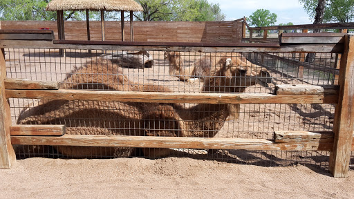 Zoo «Sedgwick County Zoo», reviews and photos, 5555 Zoo Boulevard, Wichita, KS 67212, USA