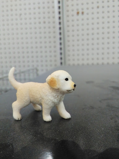 Department Store «Rural King», reviews and photos, 23625 US-23, Circleville, OH 43113, USA