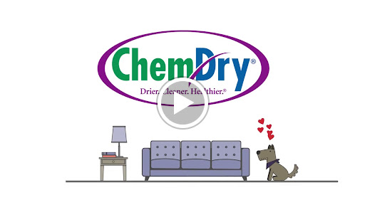 Carpet Cleaning Service «Chem-Dry of Rutland-Killington», reviews and photos, 196 Stratton Rd, Rutland, VT 05701, USA