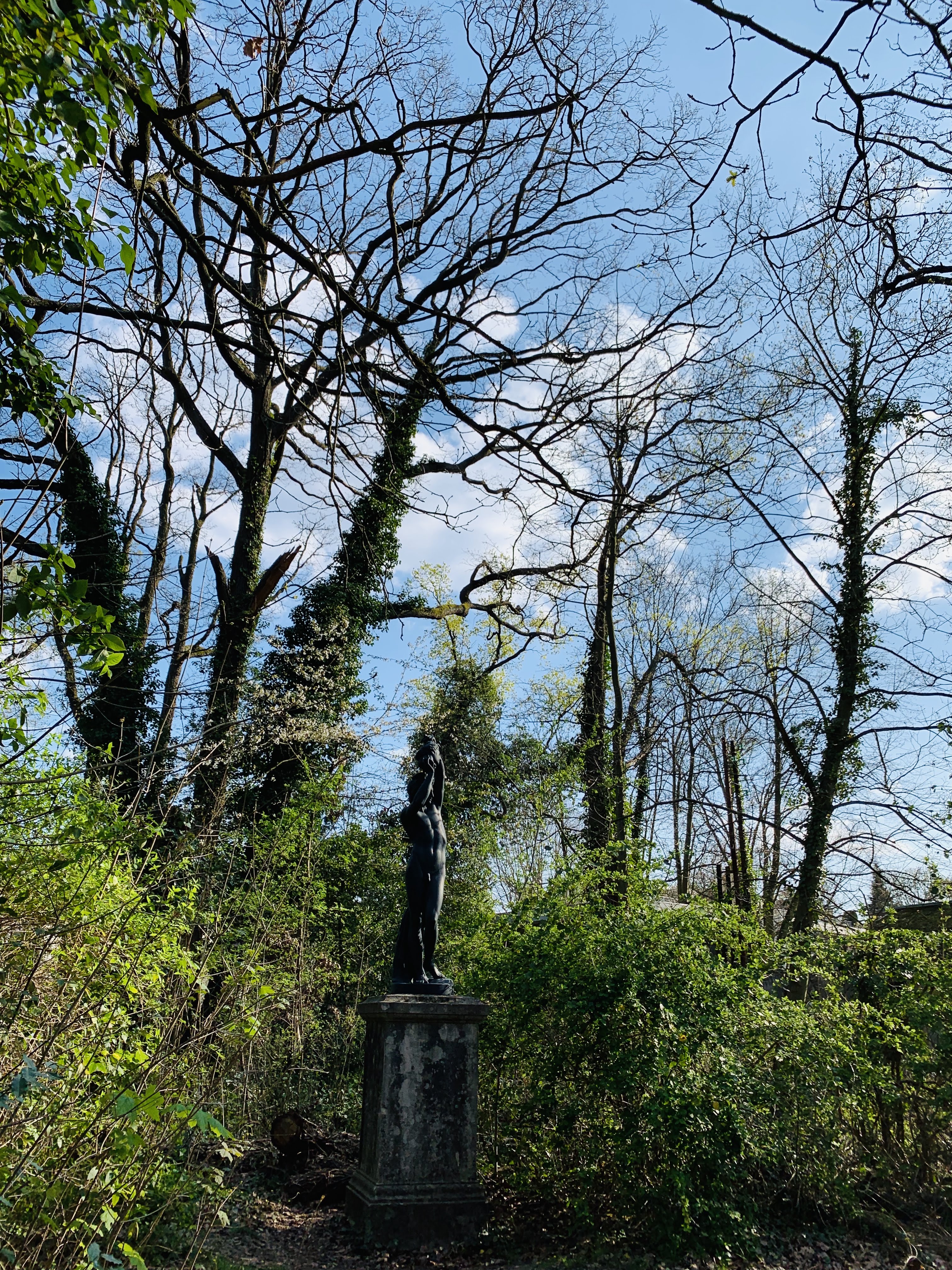 Photo n° 2 de l'avis de Hugo. fait le 22/04/2019 à 13:18