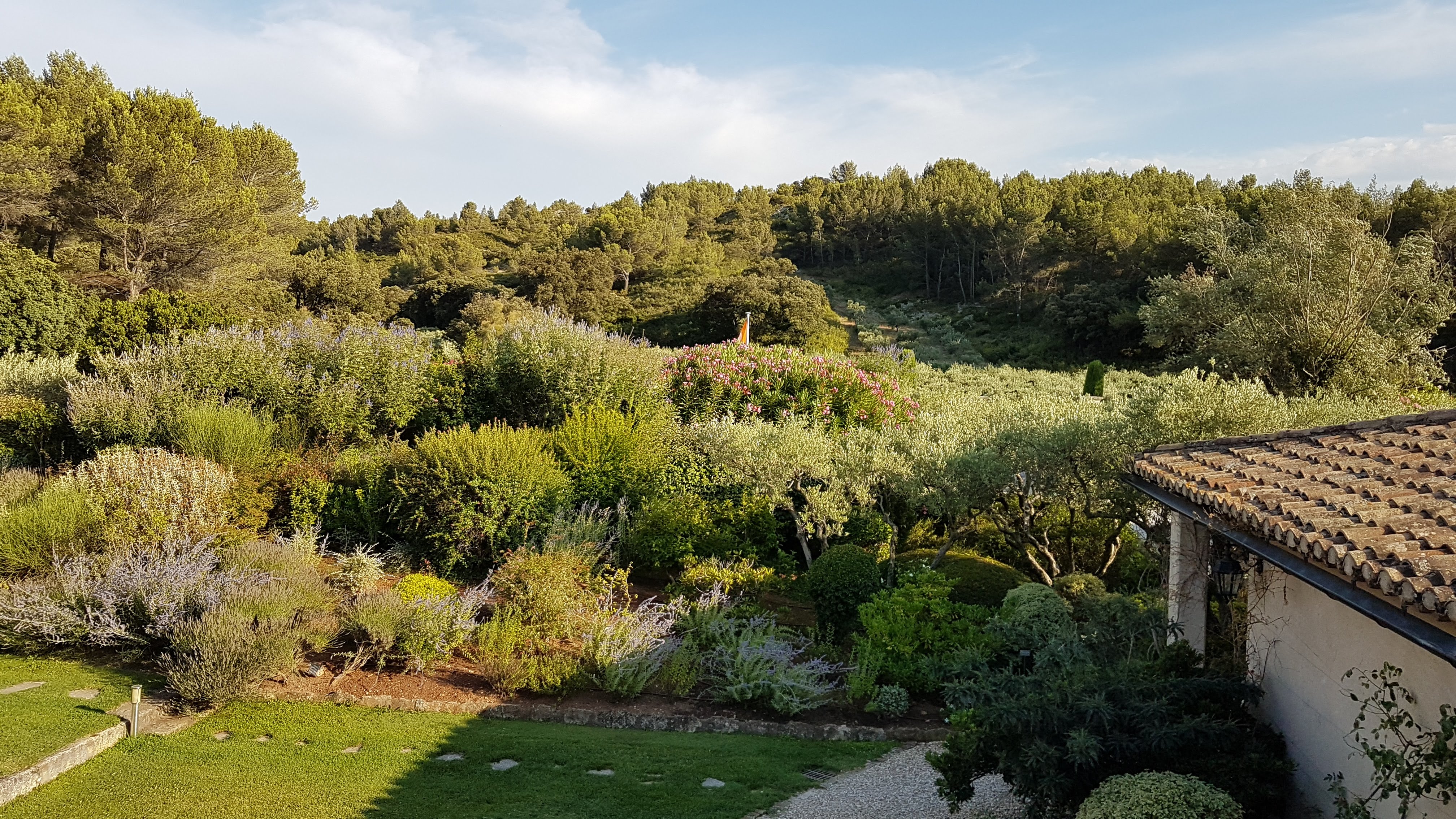 Photo n° 3 de l'avis de Lionel.h fait le 25/07/2018 à 12:40