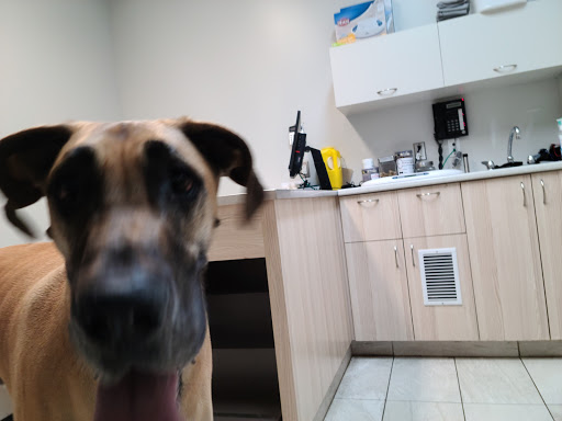 Maguire Veterinary Clinic image