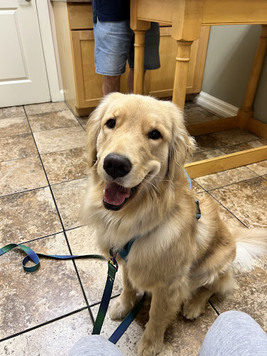 Middlesex County Animal Hospital image