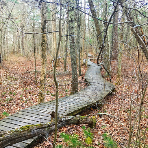 Nature Preserve «Wildlands Trust - Willow Brook Farm Preserve», reviews and photos, 99 Barker St, Pembroke, MA 02359, USA