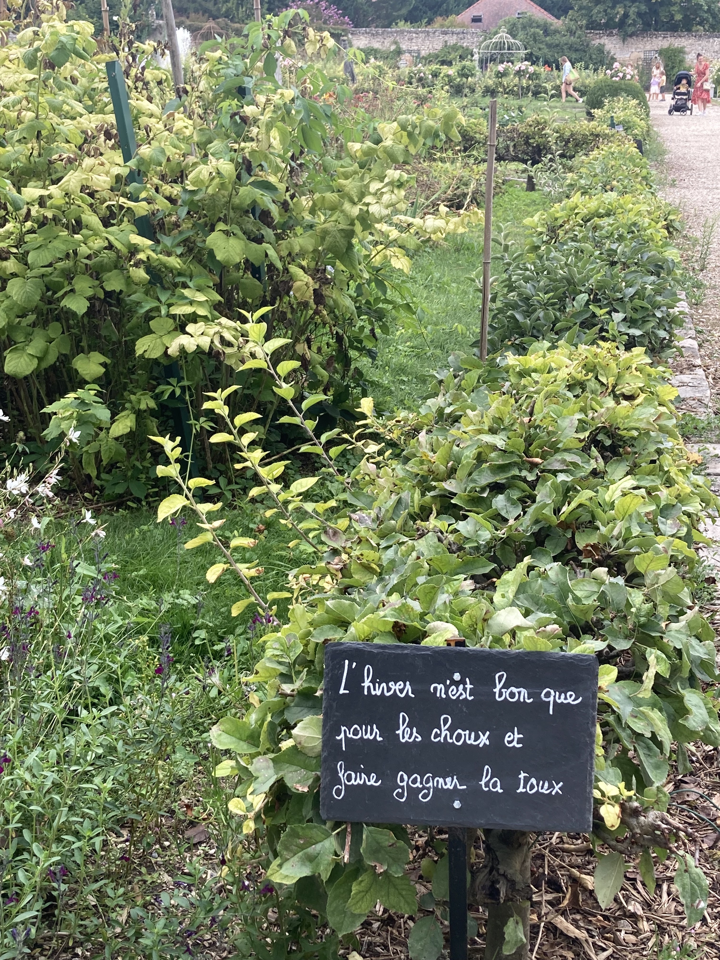 Photo n° 40 de l'avis de Denis.a fait le 16/08/2022 à 17:21