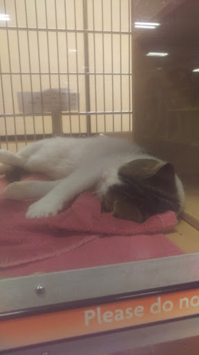 Pet Supply Store «PetSmart», reviews and photos, 7340 W 191st St, Tinley Park, IL 60487, USA
