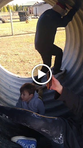 Christmas Tree Farm «Piney Acres», reviews and photos, 1115 E 1000 N, Fortville, IN 46040, USA