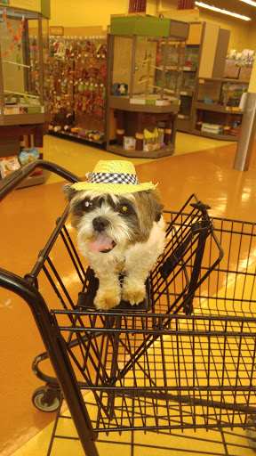Pet Supply Store «PetSmart», reviews and photos, 3370 Shoppers Dr, McHenry, IL 60050, USA