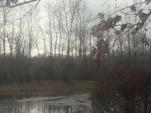 Movie Theater «Emagine Canton», reviews and photos, 39535 Ford Rd, Canton, MI 48187, USA