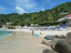 Petite Plage'in fotoğrafı #43 ile birlikte
