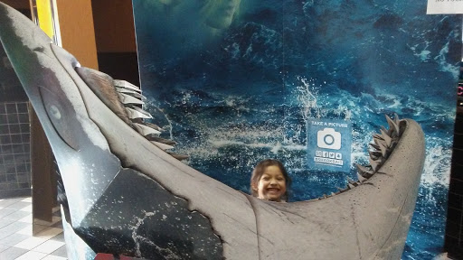 Movie Theater «Cinemark Sunrise Mall and XD», reviews and photos, 2370 N Expy, Brownsville, TX 78521, USA