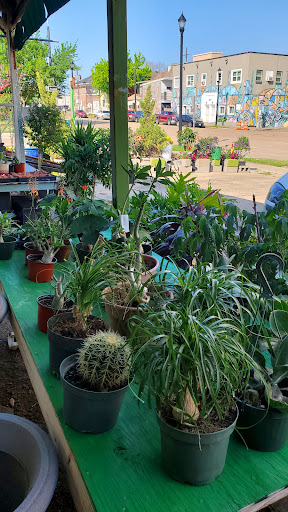 Florist «TGF Flowers», reviews and photos, 3902 Fannin St, Houston, TX 77004, USA