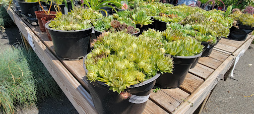 Garden Center «Dragonfly Farms», reviews and photos, 966 Kuser Rd, Trenton, NJ 08619, USA