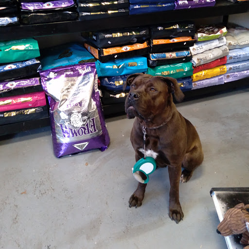 Pet Supply Store «Zen Pets», reviews and photos, 260 Valley St, South Orange, NJ 07079, USA