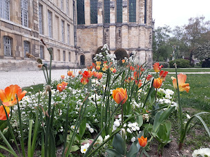 Photo n°90 de Cathédrale Notre-Dame de Reims à Reims ()
