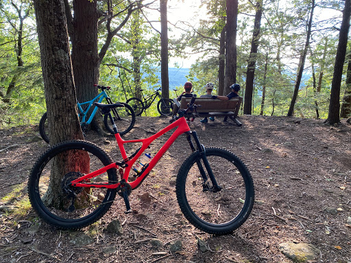 Bicycle Repair Shop «Benidorm Bikes», reviews and photos, 247 Albany Turnpike, Canton, CT 06019, USA